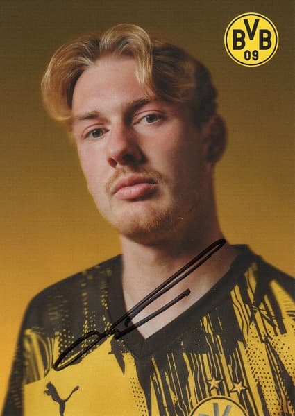 10 - Julian Brandt 1 (1)