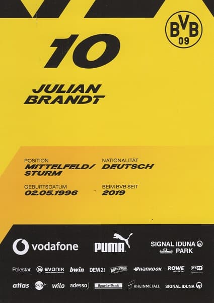 10 - Julian Brandt 2 (1)