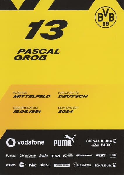 13 - Pascal Groß 2 (1)