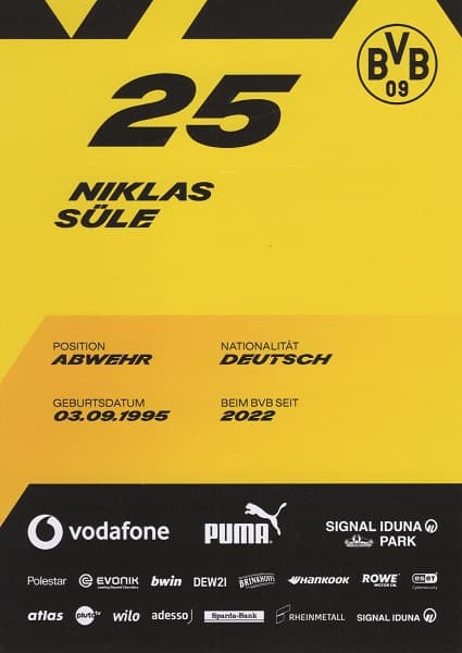 25 - Niklas Süle 2 (1)