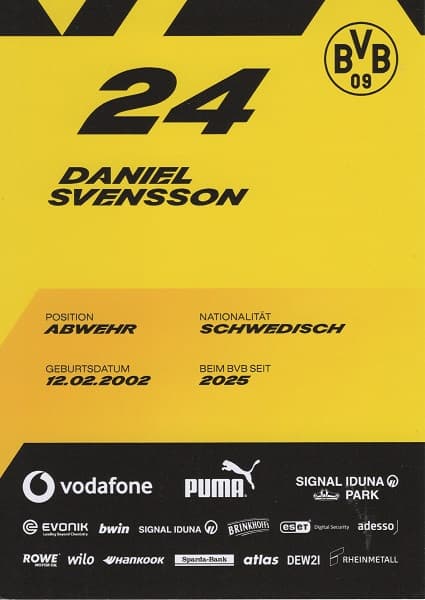 Daniel Svensson 2 (1)