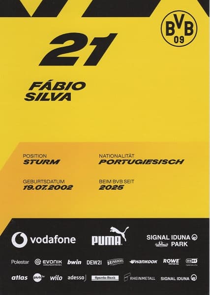Fabio Silva 2 (1)