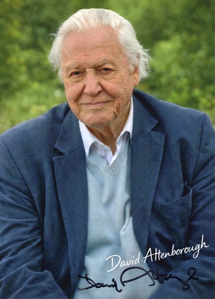 David Attenborough 2
